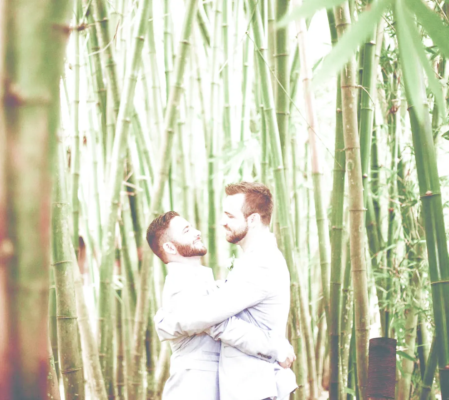 Couple embracing in a bamboo forest